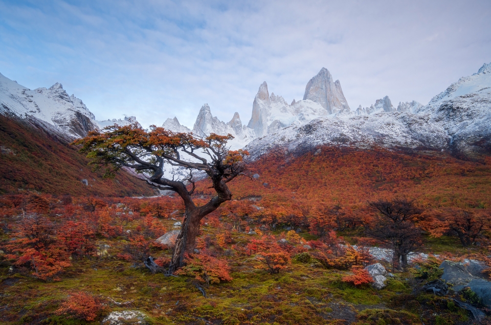 Photography tour to Patagonia| Dates: 11 – 21 April 2020